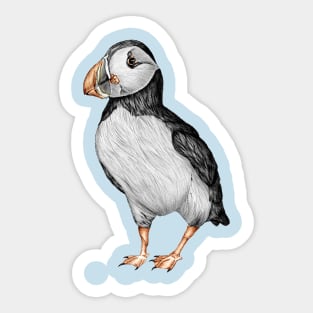 Little Puffin Sticker